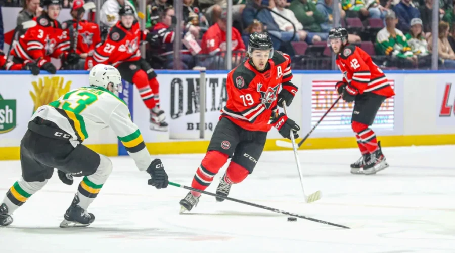 Update: Voltigeurs fall short with 4-0 loss against Knights in Memorial Cup