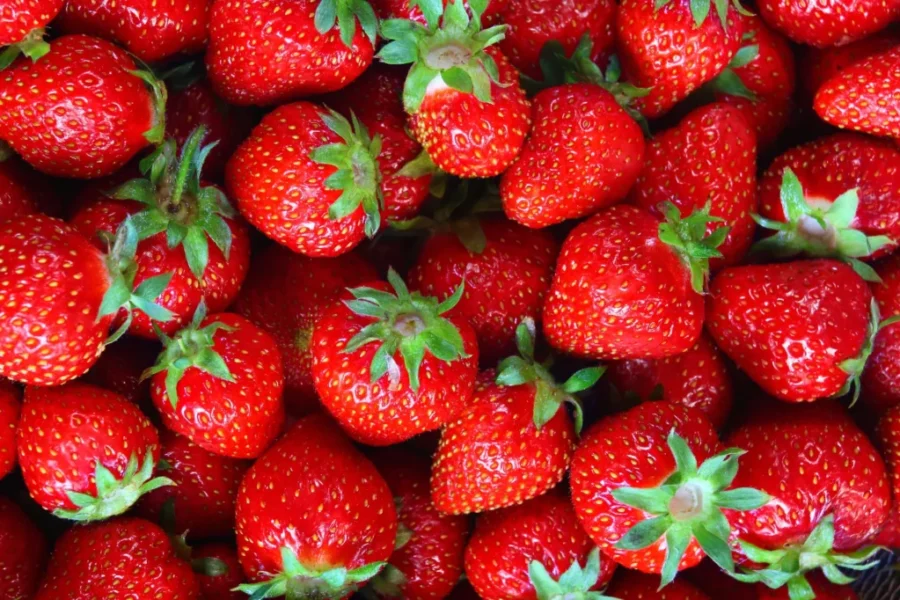 Berry Time