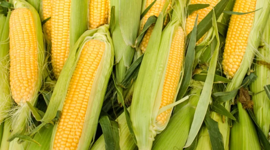 Around and Around or Up and Down?