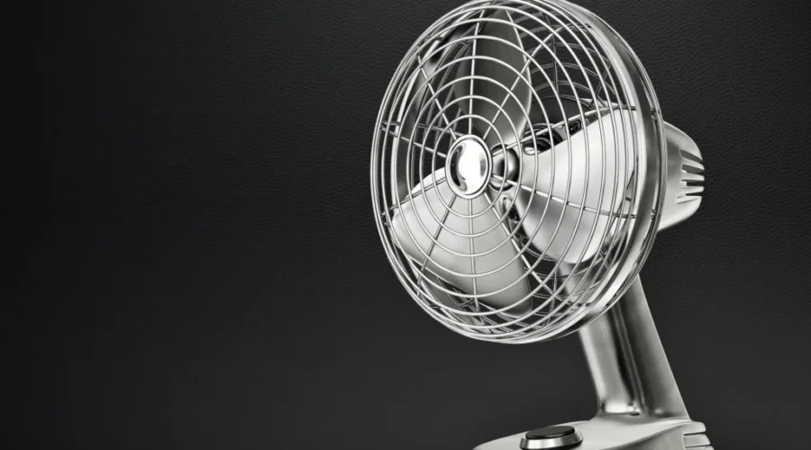 Fan Of The Fan