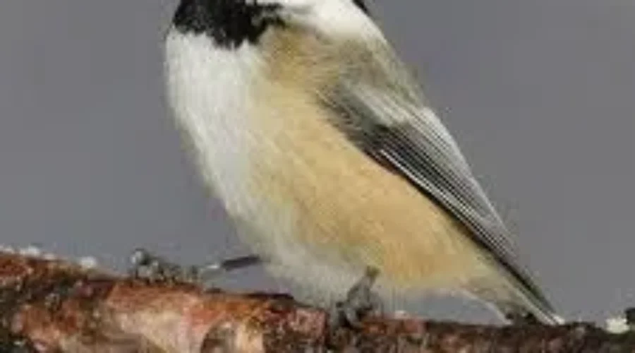 Was It Something I Said?