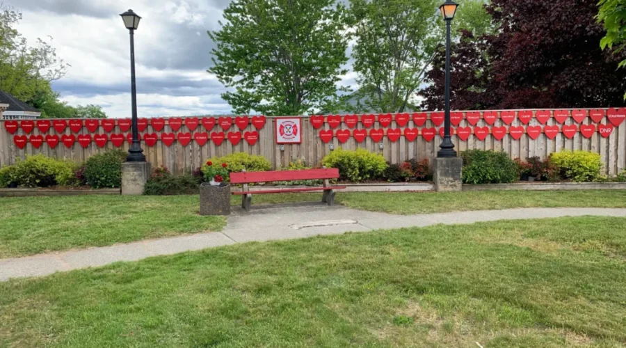 ‘Thank you is not enough.’ Firefighters honoured in Shelburne County