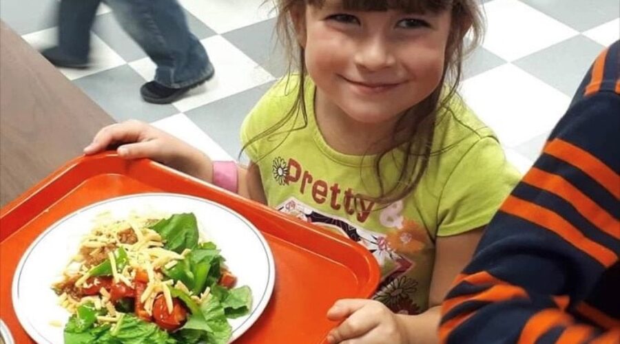 N.S. elementary schools to start lunch programs in October