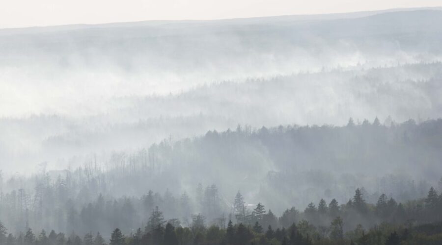 Province seeking information on 2023 Tantallon wildfire