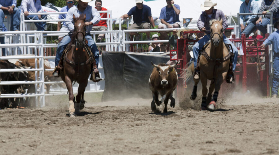 N.S. Stampede supports economic growth and tourism