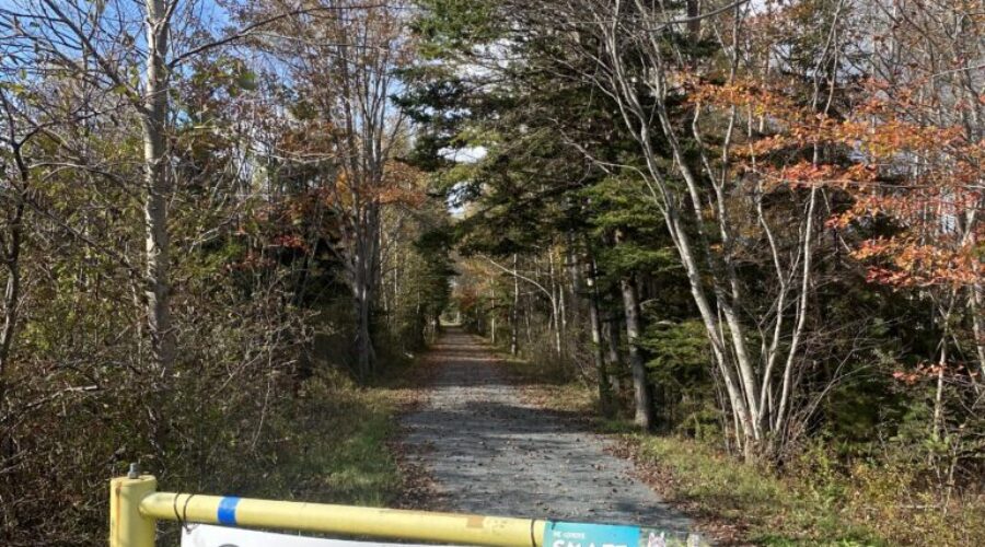 Section of Bay to Bay Trail closed for repairs