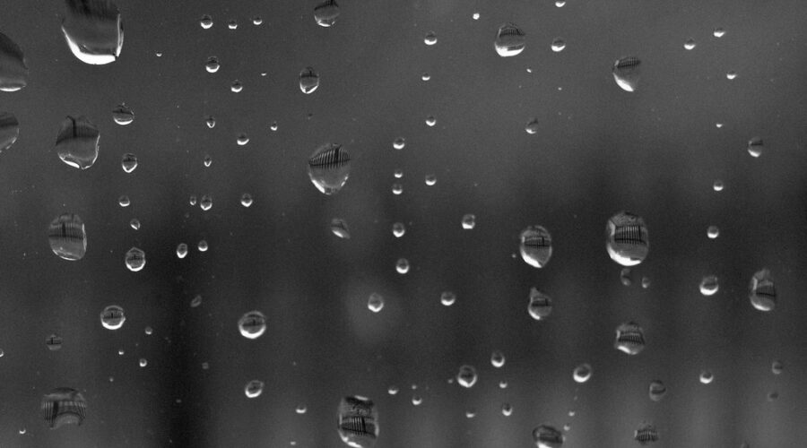 Wet, windy weather continues across Maritimes, disrupts ferry travel