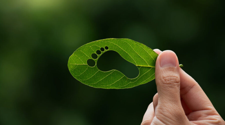 N.S. to spend $22M on programs to build green, affordable homes