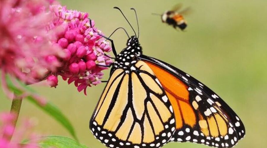 New playground equipment for park in Bridgewater