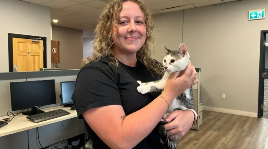 Halifax animal shelter rescues more than 70 cats from single property