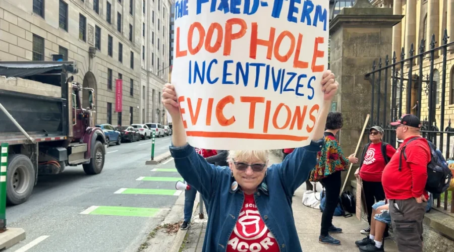 This Halifax senior has mice in her apartment, but she’s afraid to move