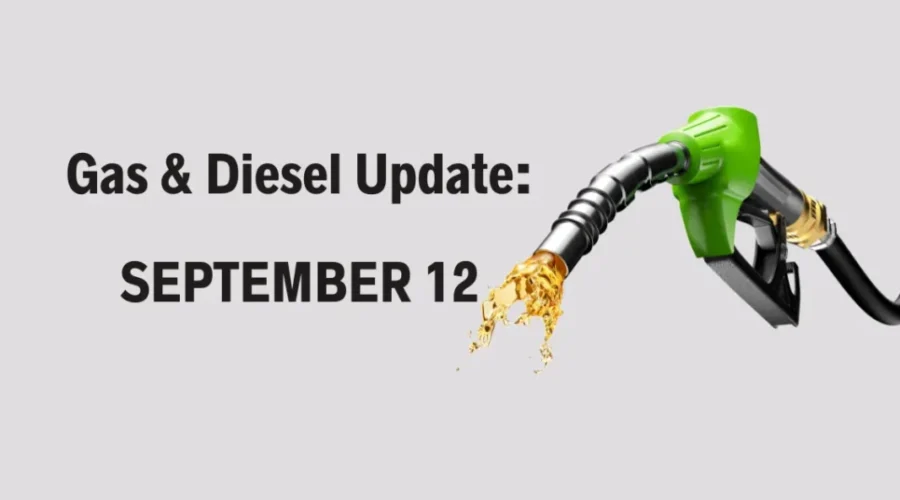 ⛽️Prediction – September 12th