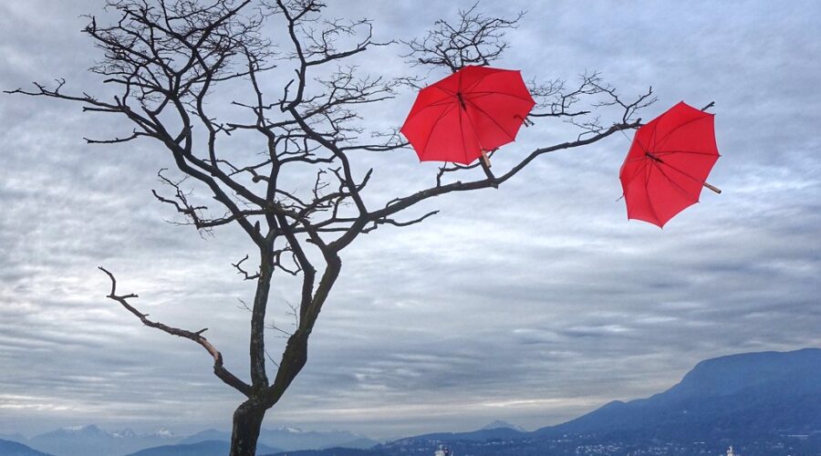 Special weather statement: heavy rain, strong winds for eastern N.S.
