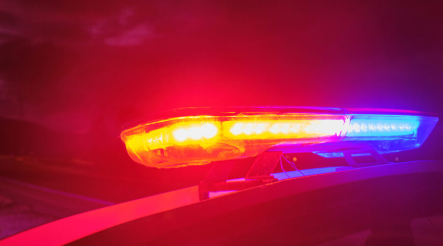 24-year-old woman fatally hit by Halifax Transit bus