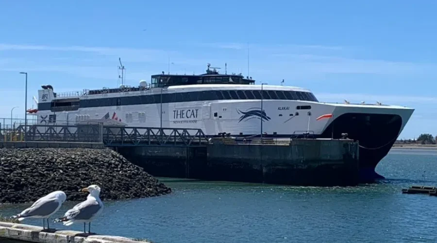 ‘CAT’ ferry passenger numbers up 28 percent in 2024