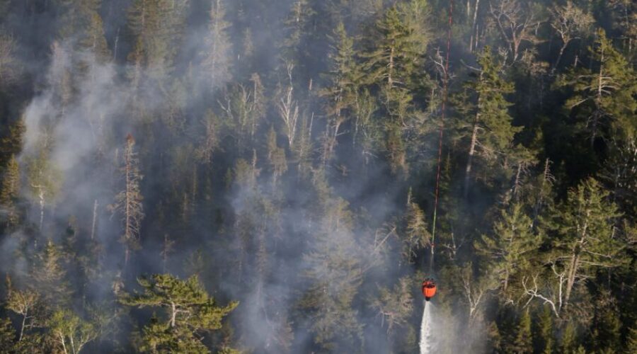 Nova Scotia records least active wildfire season following record-breaking devastation