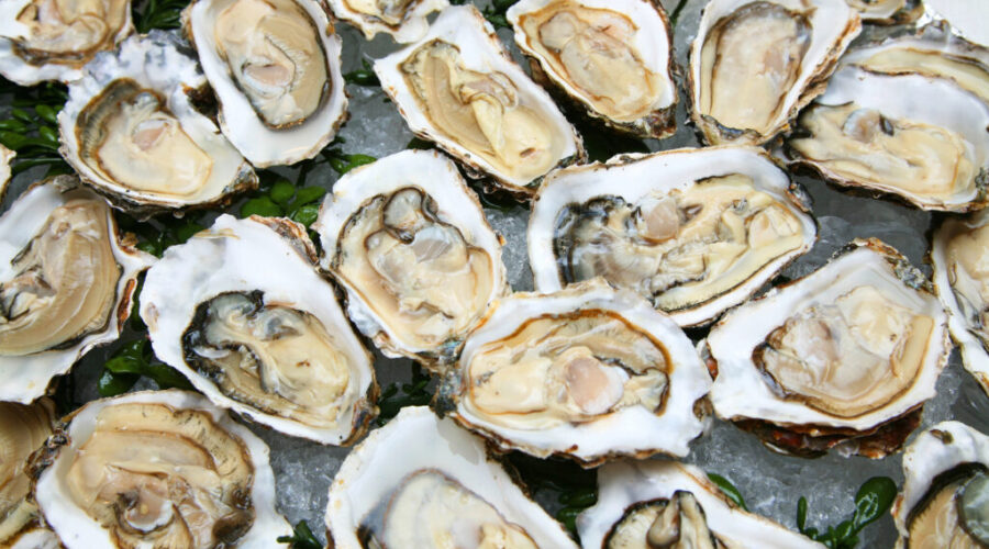 N.S. oysters hit with rare parasite
