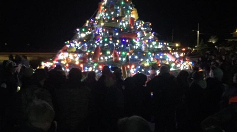 Barrington’s Lobster Trap Tree ready to be lit