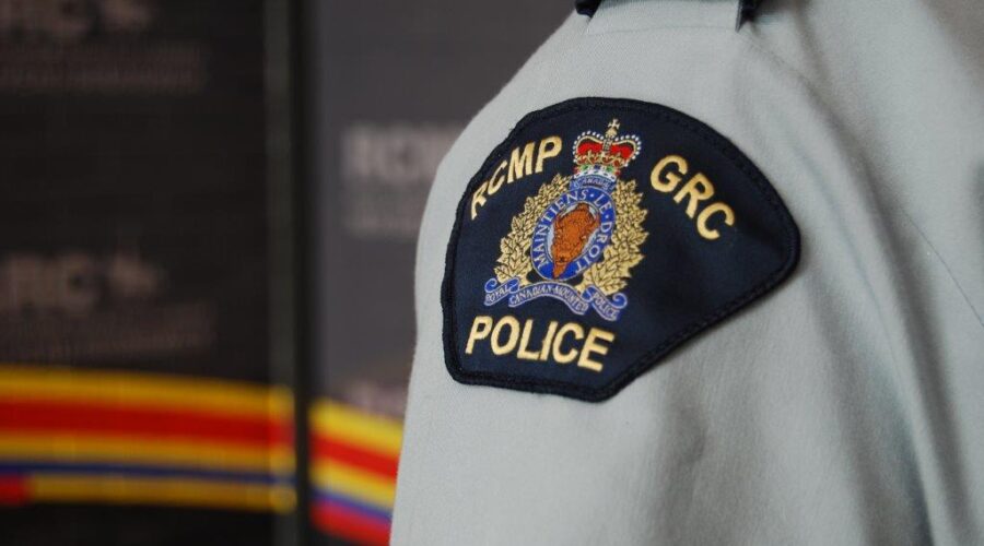 Two people arrested after police search illegal cannabis store in Lucasville