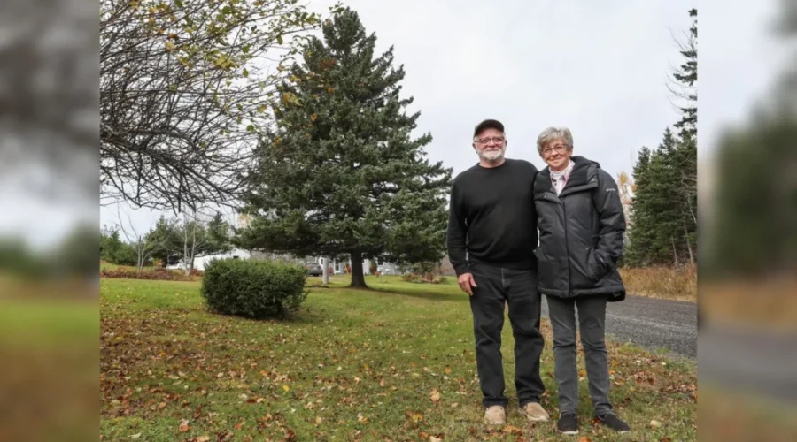 N.S. Tree for Boston set to shine