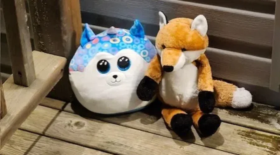 N.S. Dojang overwhelmed with donations for Lower Sackville fire victims