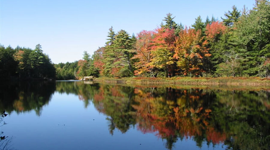 New Kejimkujik campsite booking system starts Wednesday morning