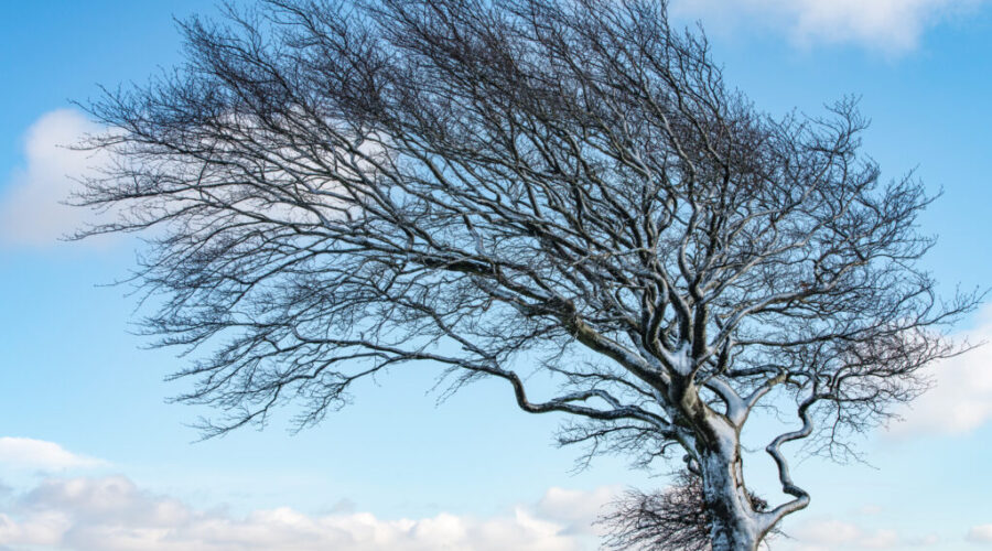 Winds knock out power to thousands in N.S.