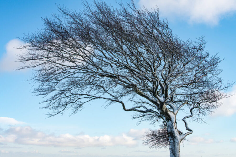 Rain and wind warnings for N.S.