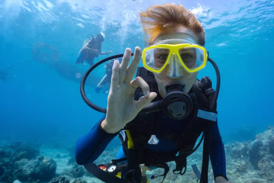 This Nova Scotia Diver Explored The Bottom Of Mahone Bay! Check Out His Video Here!