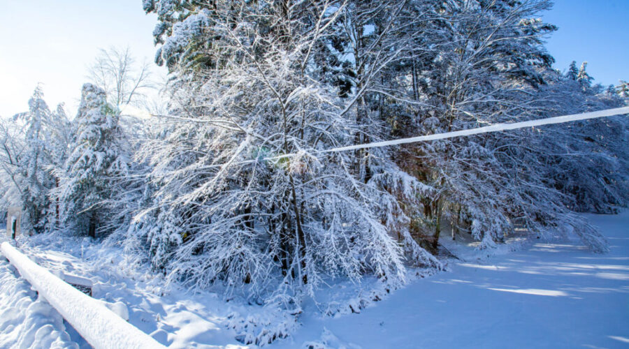 Some schools closed as tricky storm brings a little of everything