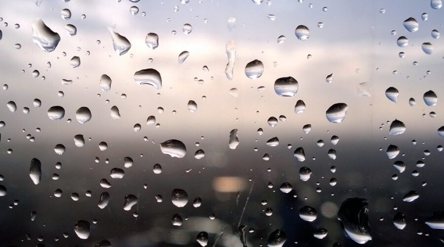 Wind, rain warnings remain in N.S.