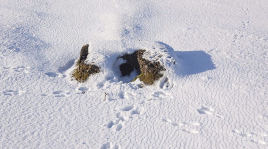 Snow and high winds for parts of N.S.