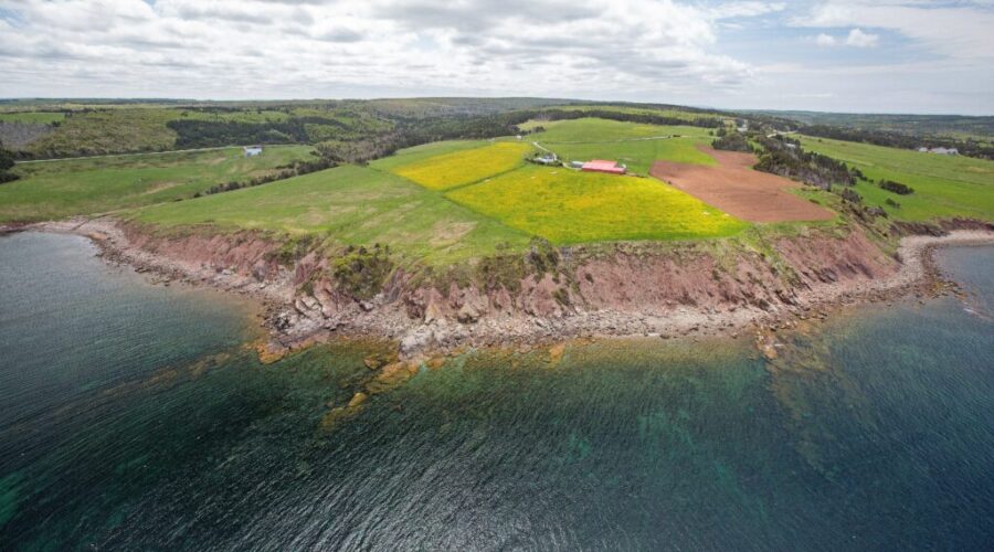 Cities can now use templates to create coastal protection by-laws