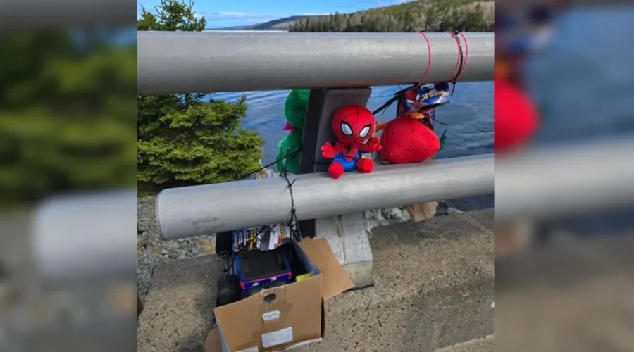 Search suspended again for missing boy who fell in Guysborough river