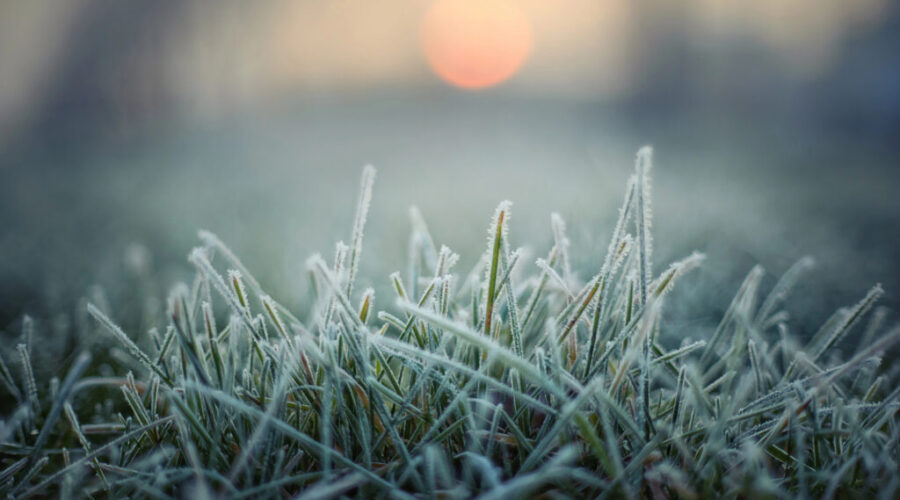 Frost advisory for N.S.