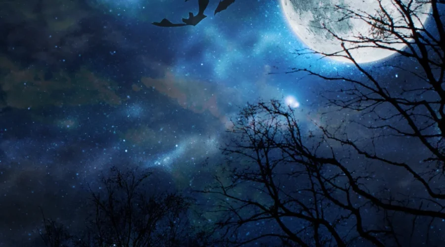 1998 movie Practical Magic gets a sequel