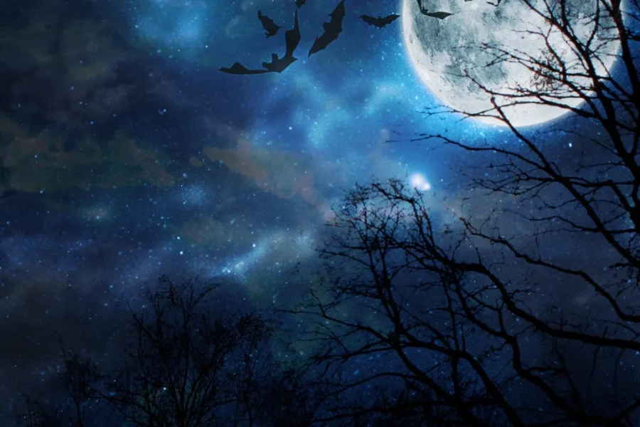 1998 movie Practical Magic gets a sequel