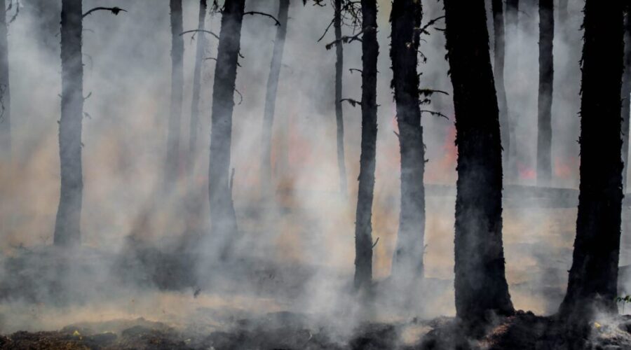 20 N.S. Firefighters heading to Saskatchewan to battle wildfires