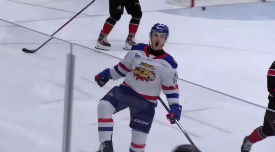 Moncton Wildcats qualify for Memorial Cup