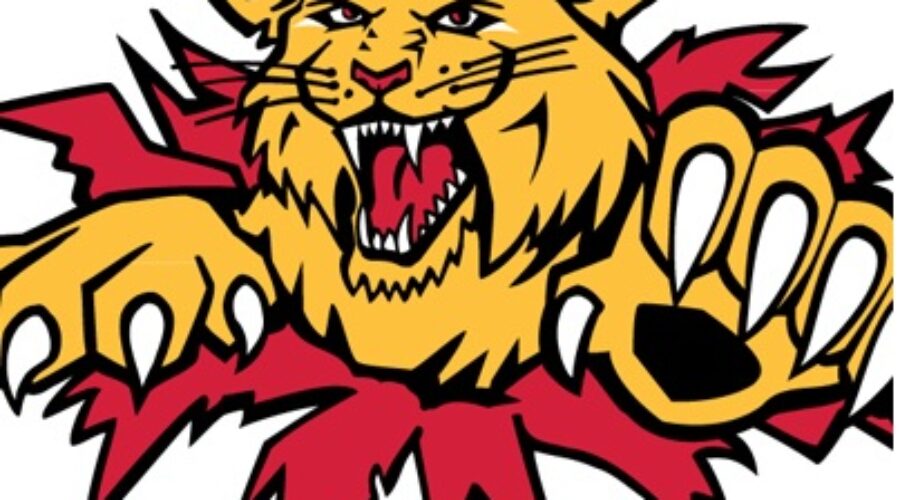 Wildcats drop Memorial Cup opener in OT