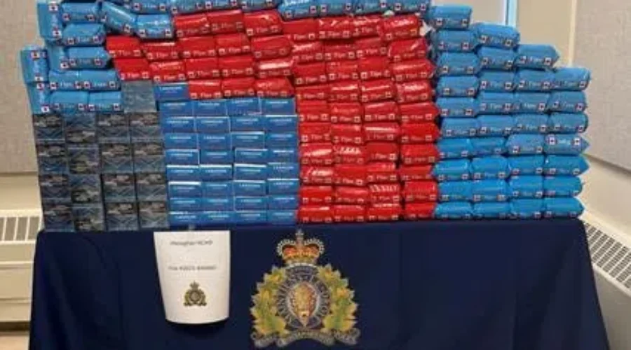 RCMP seize about 40,000 unstamped cigarettes in Bangor, N.S.