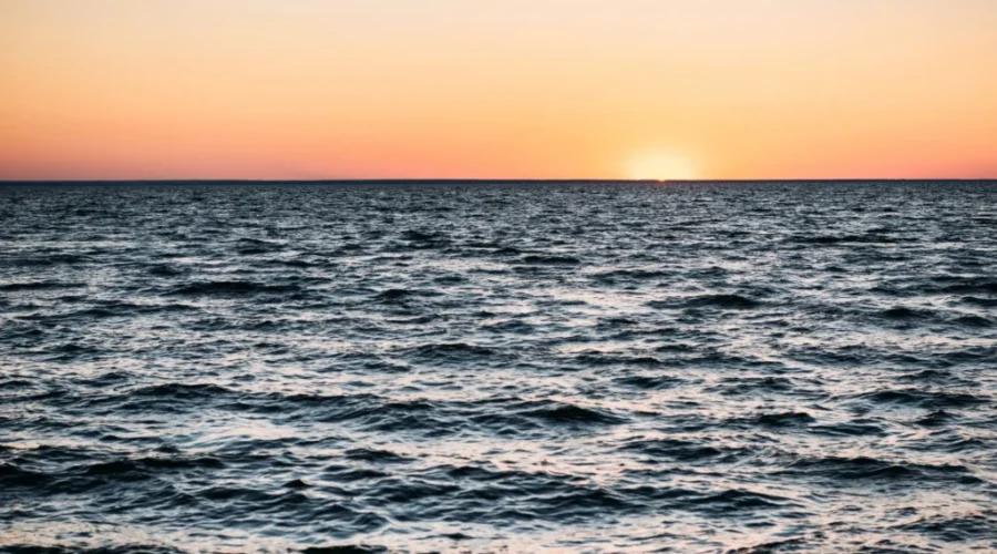Free Willy! This Nova Scotia Fisherman Captured Something Amazing on Camera!