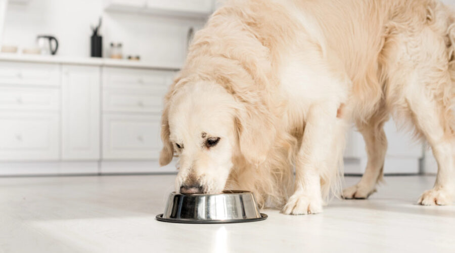 Pet Valu gets new branding for local products