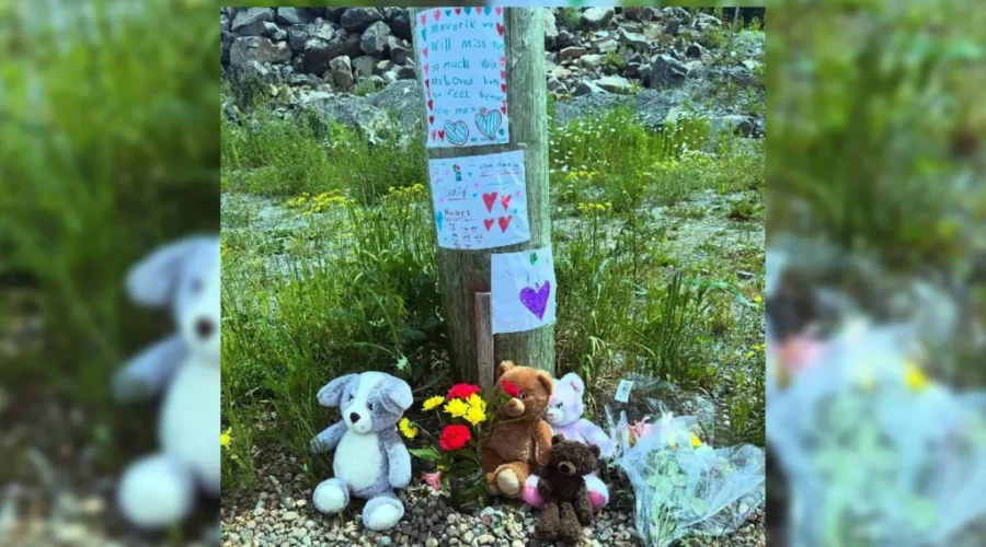 Fundraisers launched after tragic loss of 3-year-old in Bedford