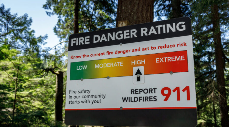 N.S. wildfire season on par with last year as officials investigate Ostrea Lake fire