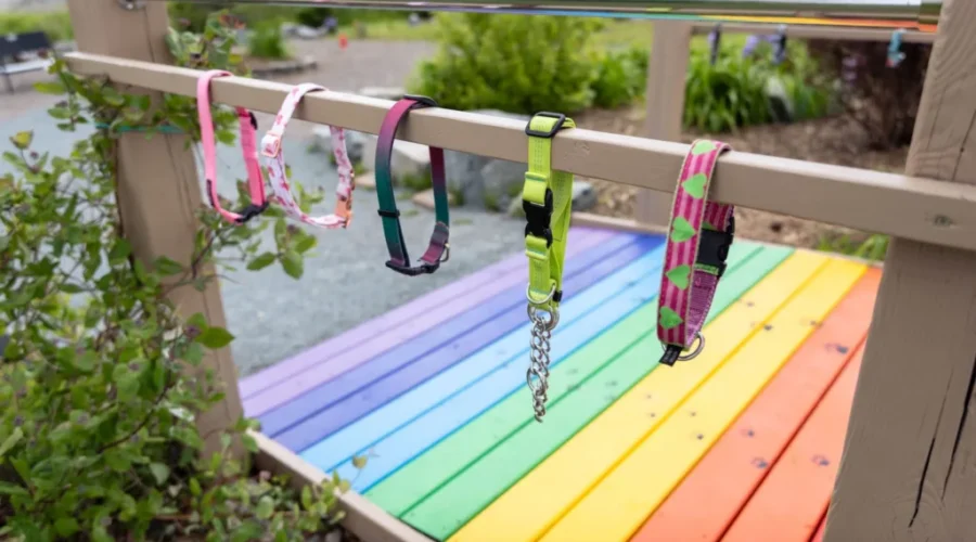 Rainbow bridge at N.S. animal shelter memorial garden helps owners grieve