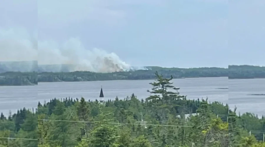 Eastern Shore wildfire under control; DNR
