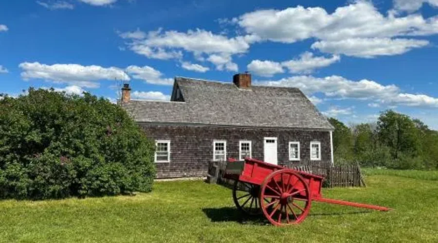 Horses return to Ross Farm Museum after mistreatment