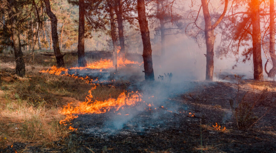 Long Lake wildfire crews brace for strong winds from Hurricane Erin