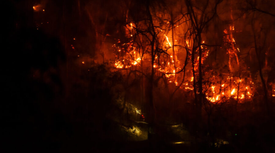 Long Lake wildfire expected to grow, weather conditions unfavourable